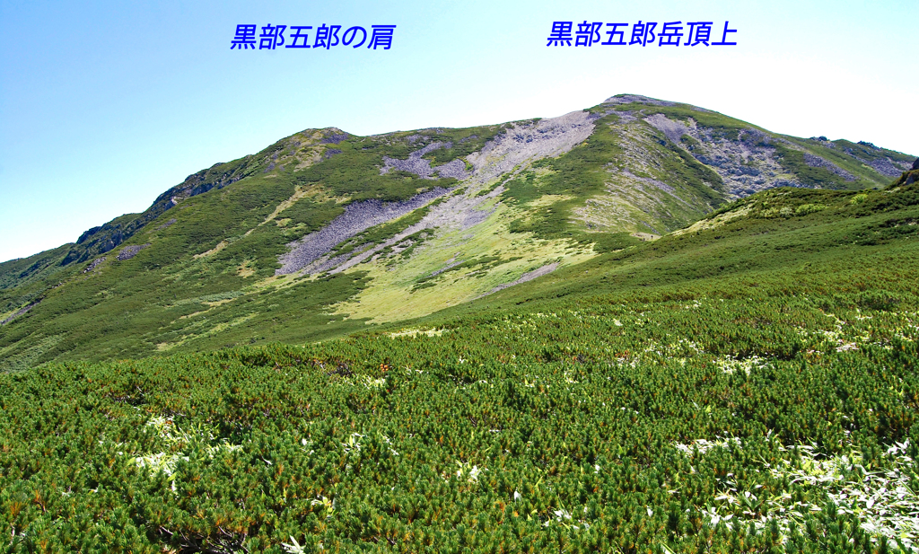 黒部五郎岳の麓に到着