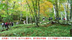 秋色の両神山登頂2012(18)