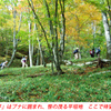 秋色の両神山登頂2012(18)