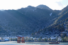 雪化粧の宮島2015(1)