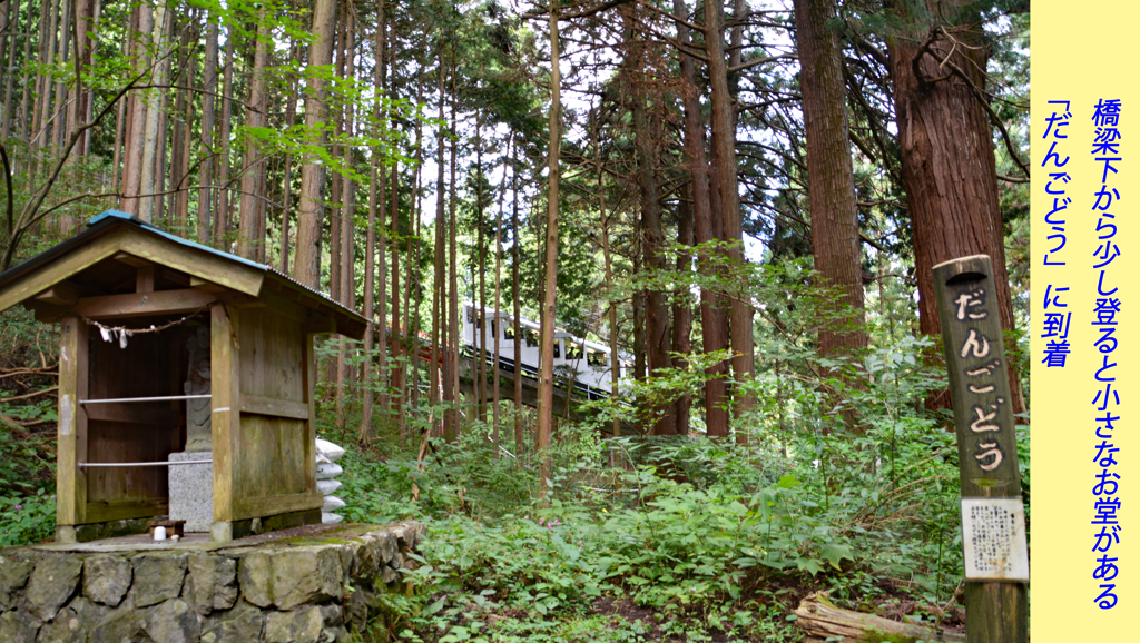 リハビリ山行：御岳山2014(16)