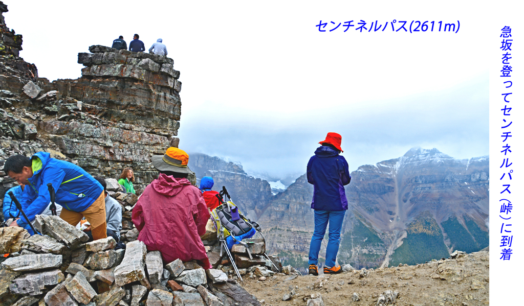 カナダの山旅2016B：ラーチバレー・センチネルパストレッキング(19)