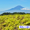 丹沢・塔ノ岳登頂セレクト写真集 2008～2018 (16)