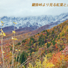 山陰の秋路(大山・三徳山) 2006 (4)