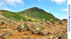 ミヤマキリシマ探訪山行 in 九重連峰2012：1日目(14)