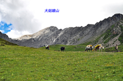大姑娘山登頂を終えて、お花畑を通ってベースキャンプへ下る