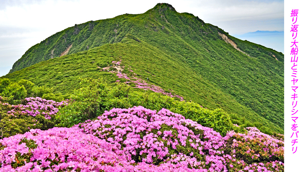 ミヤマキリシマ探訪山行 in 九重連峰2012：2日目(32)