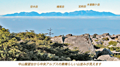 北八ヶ岳の山旅2004(9)