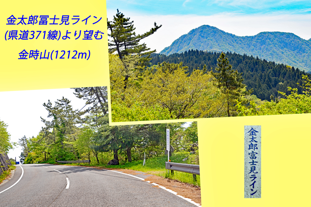 足柄古道を歩いての金時山登頂 2019 (18)