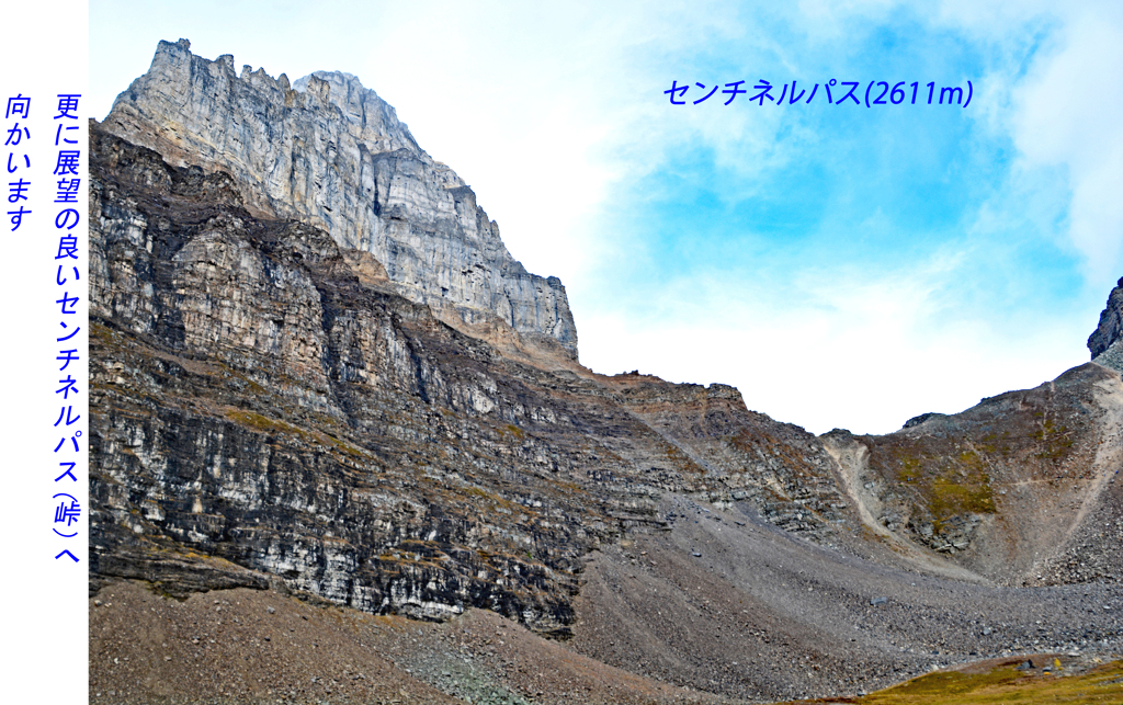 カナダの山旅2016B：ラーチバレー・センチネルパストレッキング(18)