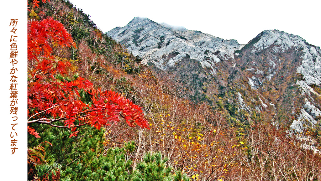 甲斐駒ヶ岳登頂の山旅2005(8)