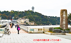 江の島周辺フォト散歩 2008～2015 (3)
