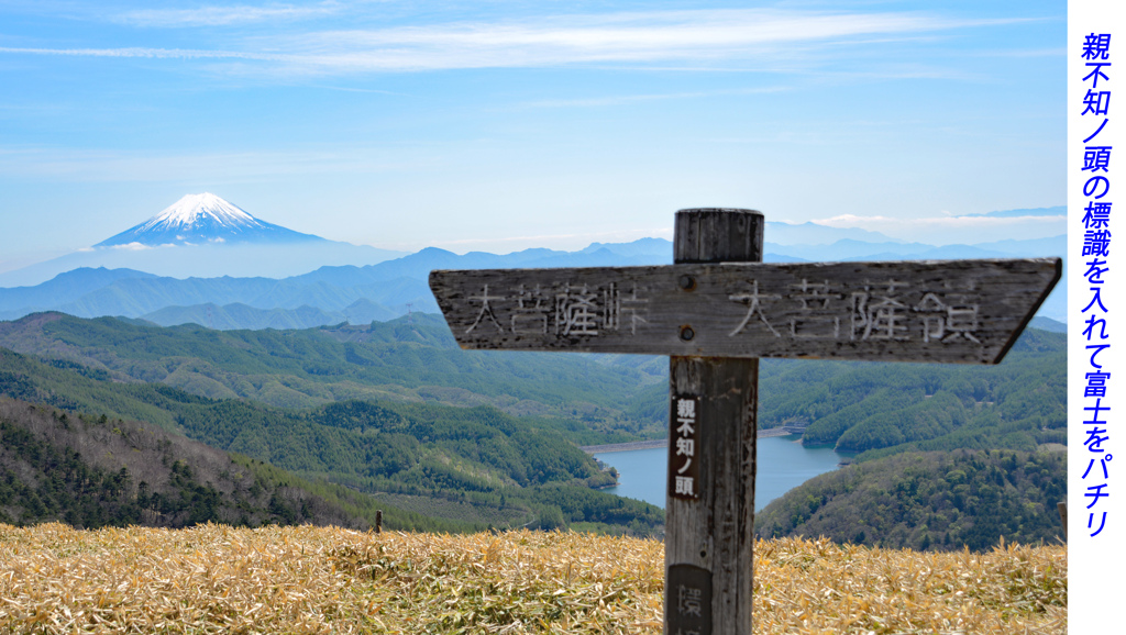 新緑の大菩薩を歩く2018(47)