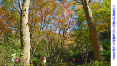 鎌倉アルプス紅葉狩り2014(38)