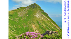 ミヤマキリシマ探訪山行 in 九重連峰2012：1日目(12)