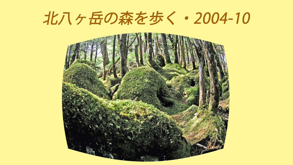 北八ヶ岳の山旅2004(1)