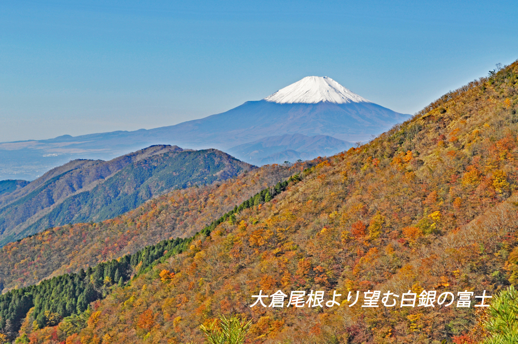 丹沢・塔ノ岳登頂セレクト写真集 2008～2018 (11)