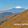 丹沢・塔ノ岳登頂セレクト写真集 2008～2018 (11)