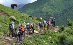 放牧中の馬に見送られてベースキャンプへ向かう