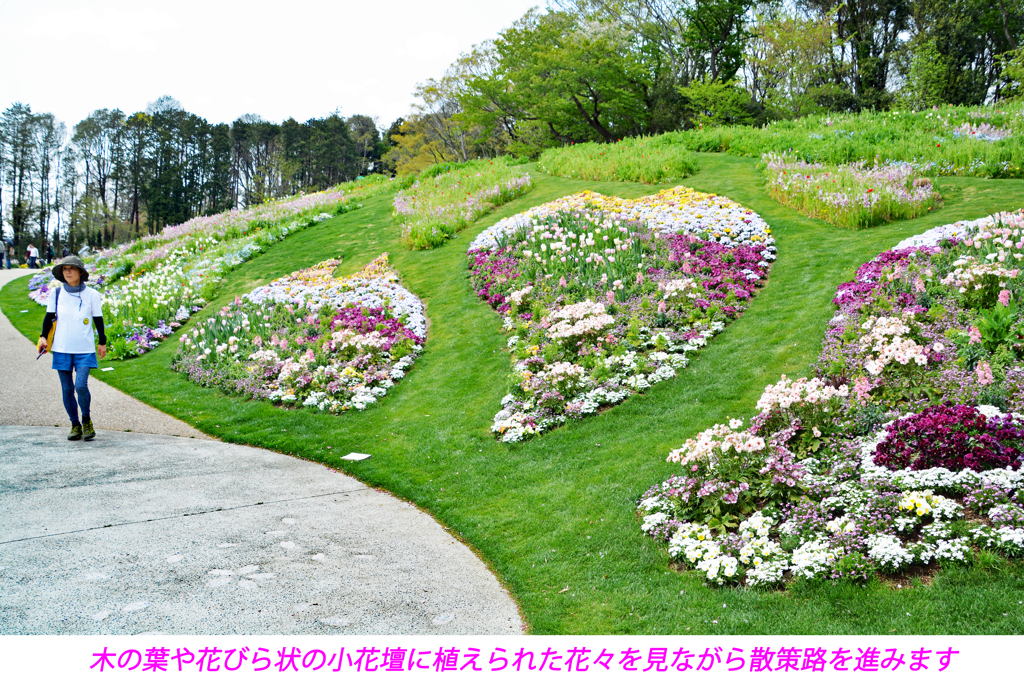 春の里山ガーデンフェスタ 2019 (2)