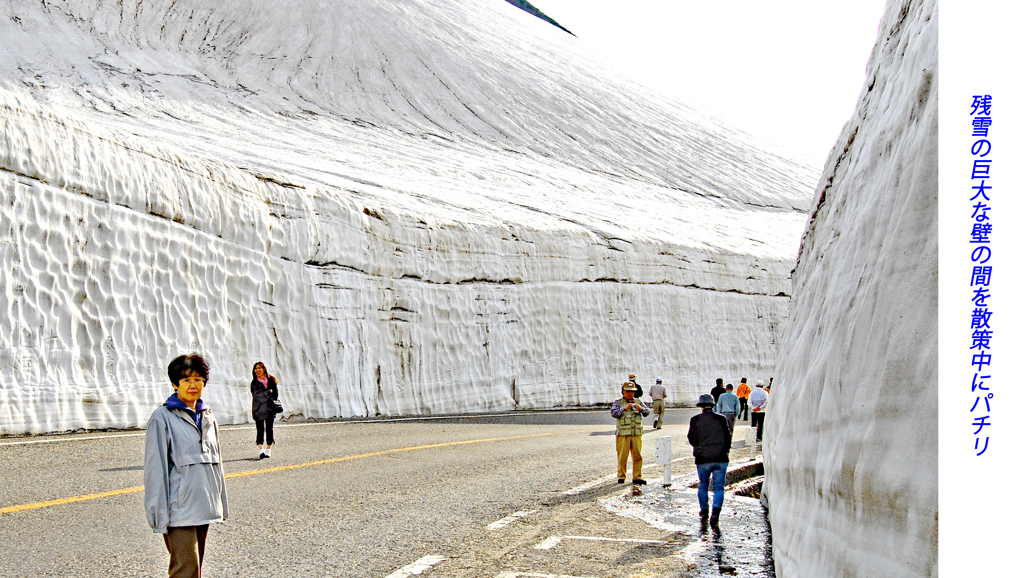 残雪の立山・黒部アルペンルート2006(32)
