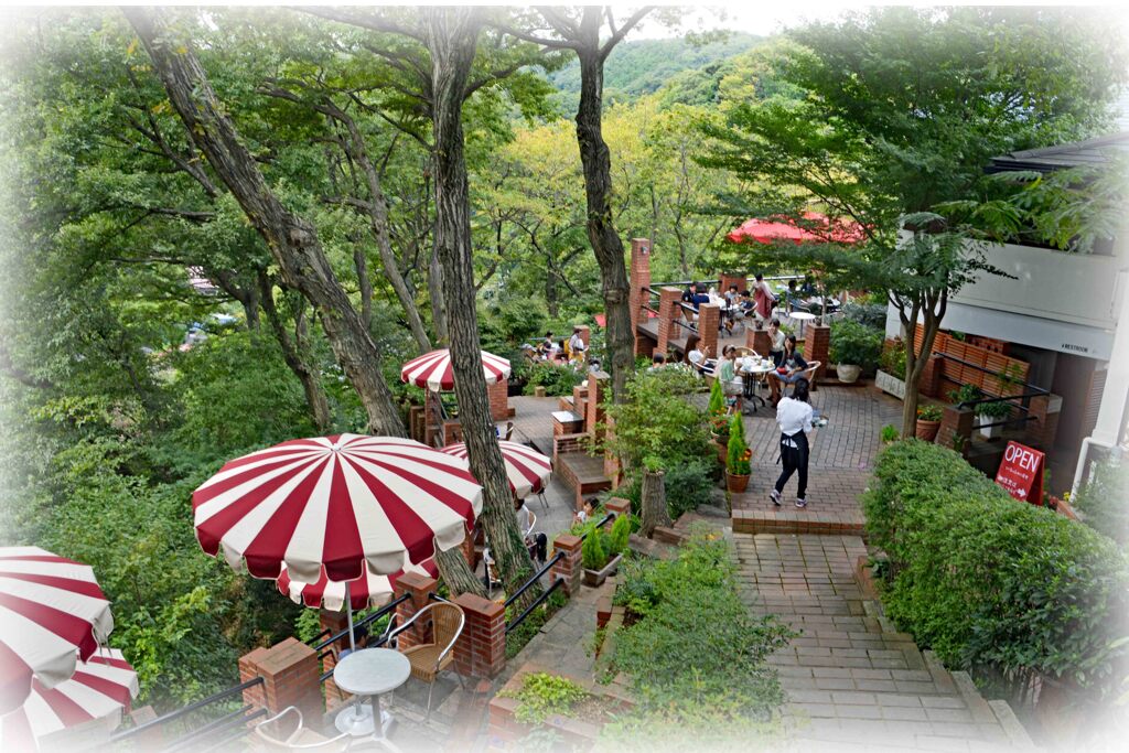 森のオアシス・ガーデンテラス(1)