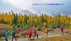 カナダの山旅2016B：ラーチバレー・センチネルパストレッキング(8)