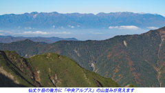 北岳登頂の山旅2006：2日目(17)