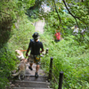 リハビリハイク：鎌倉葛原岡・大仏ハイキングコース2014(32)