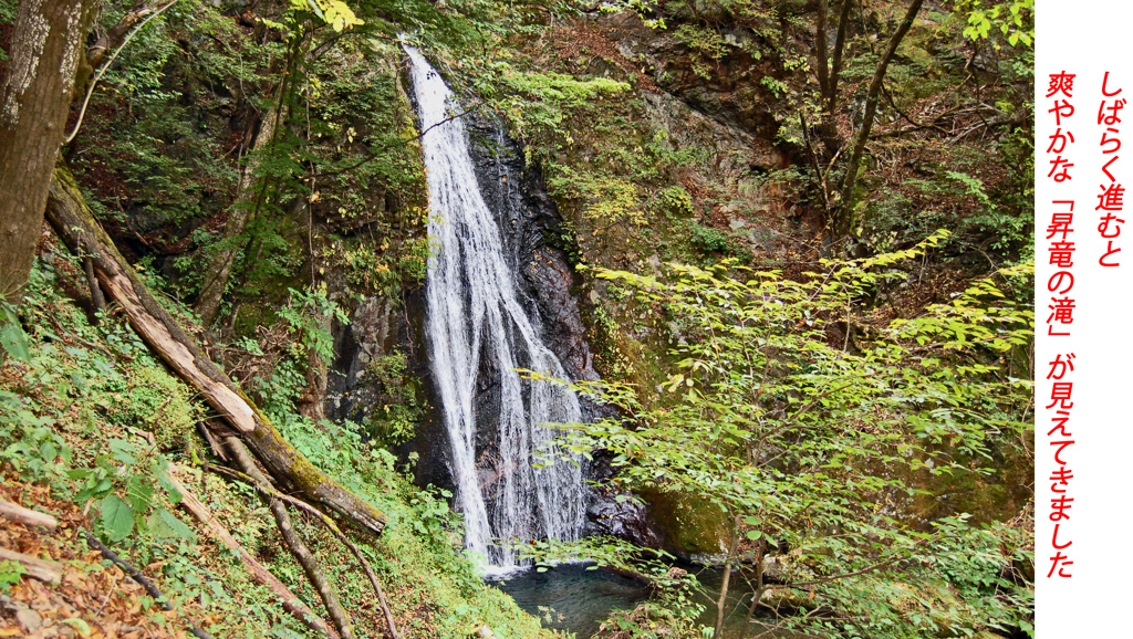 秋色の両神山登頂2012(5)