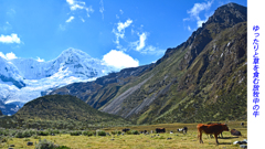 ペルー・アンデス　ブランカ山群トレッキング2015(3)