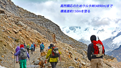 ペルー・アンデス　ブランカ山群トレッキング2015(9)