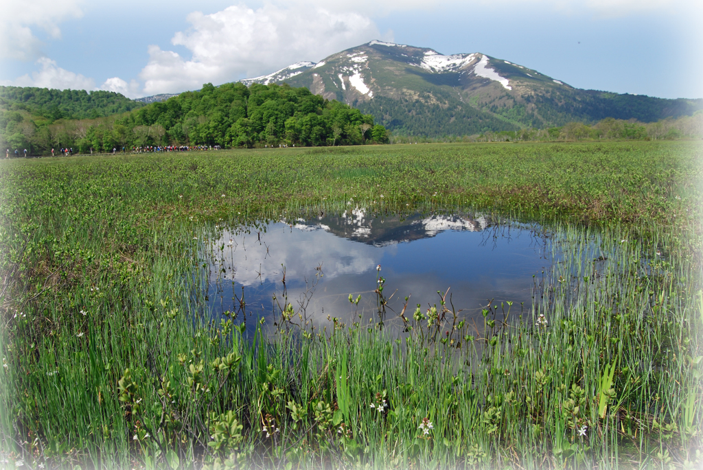 心癒される尾瀬ヶ原の風景