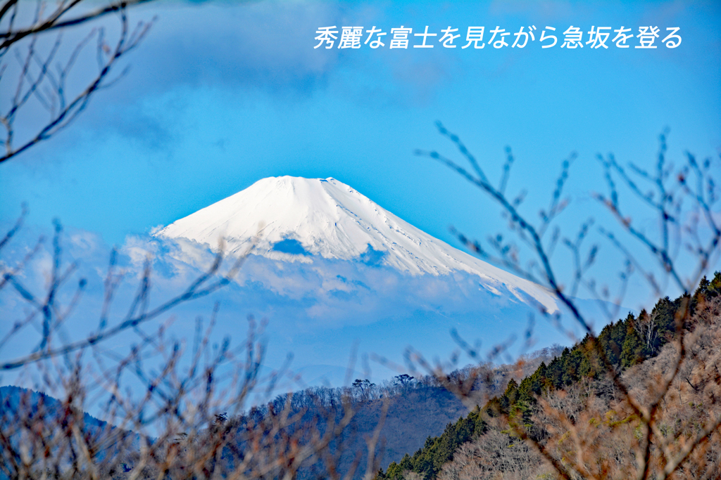 丹沢・塔ノ岳登頂セレクト写真集 2008～2018 (10)