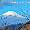 丹沢・塔ノ岳登頂セレクト写真集 2008～2018 (10)