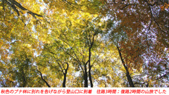 秋色の両神山登頂2012(41)