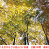 秋色の両神山登頂2012(41)