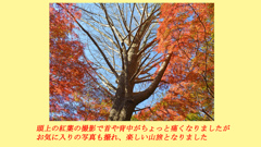鎌倉アルプス紅葉狩り2014(62)
