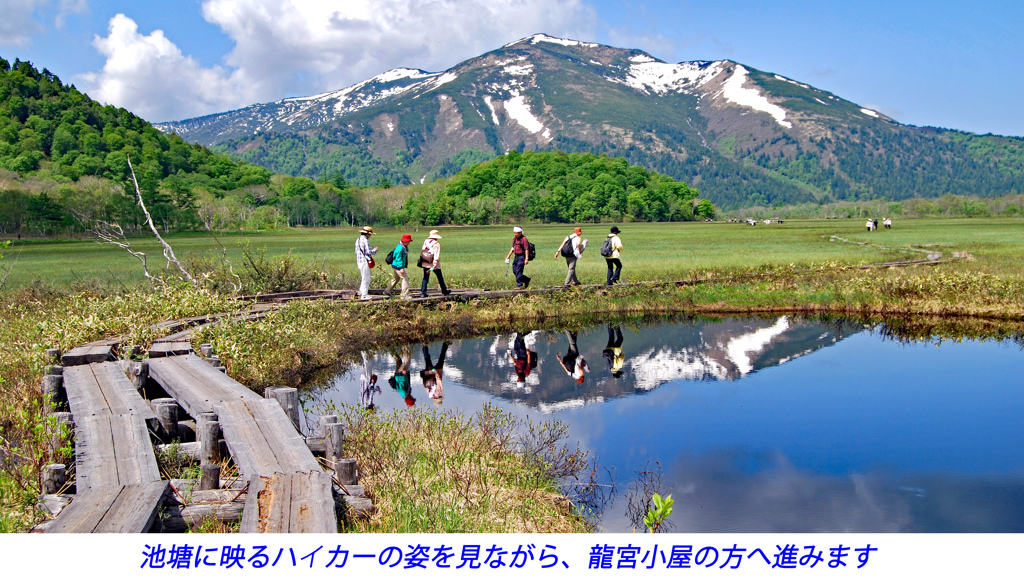 初夏の尾瀬の山旅2007(17)