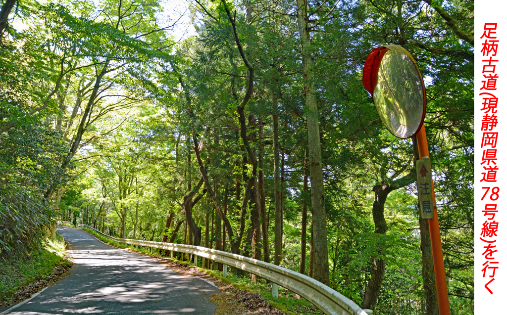 足柄古道を歩いての金時山登頂 2019 (7)