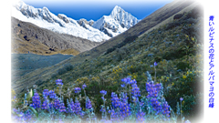 ペルー・アンデス　ブランカ山群トレッキング2015(58)