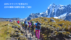 ペルー・アンデス　ブランカ山群トレッキング2015(38)