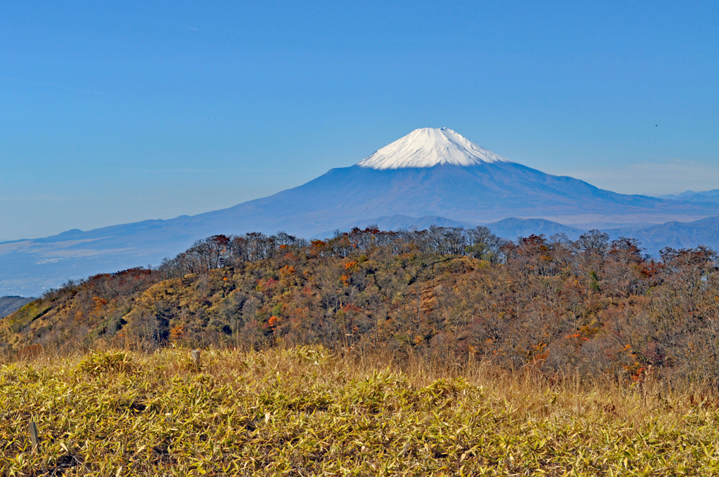 丹沢・塔ノ岳登頂セレクト写真集 2008～2018 (17)