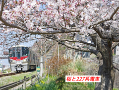 にわか撮り鉄：JR呉線の紹介 2015-3 (17)
