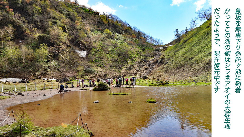 日光白根山登頂の山旅2012(24)