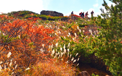安達太良山の秋(3)