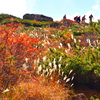 安達太良山の秋(3)