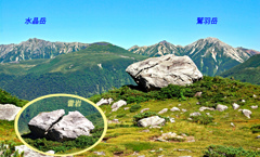 二つに割れた「雷岩」の側を進む。 二つに割れた「雷岩」の側を進む。