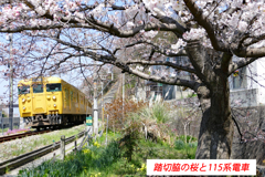 にわか撮り鉄：JR呉線の紹介 2015-3 (7)