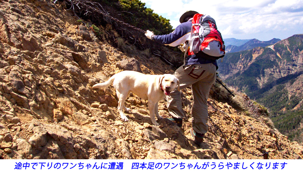 八ヶ岳・赤岳登頂の山旅2002：2日目(19)